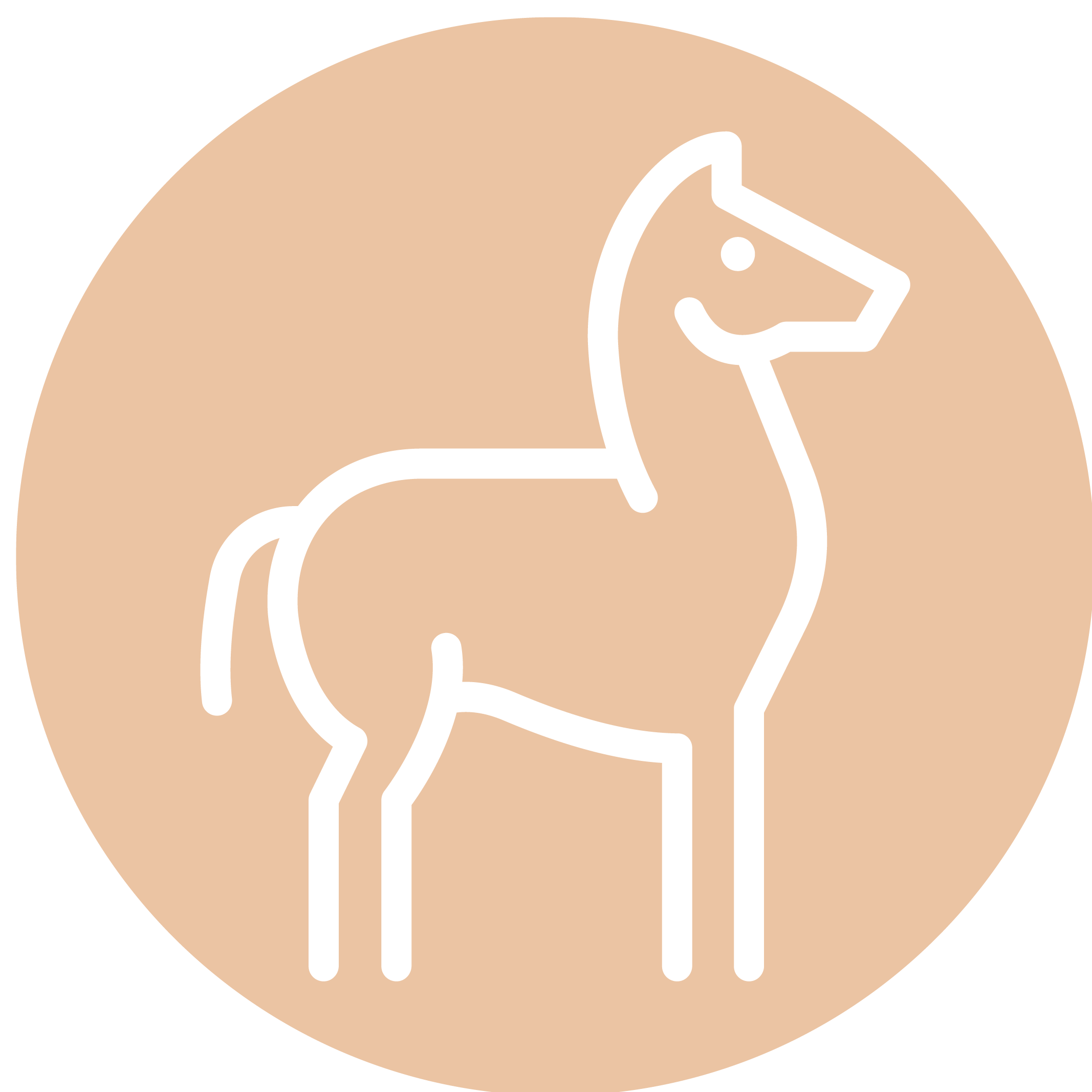 Pferd Goldstaub Tierkommunikation Platzhalter Logo