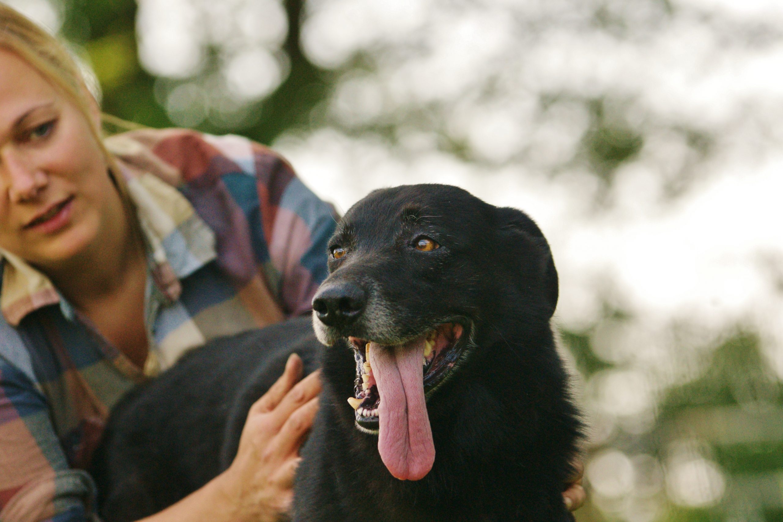 tierkommunikatorin hund