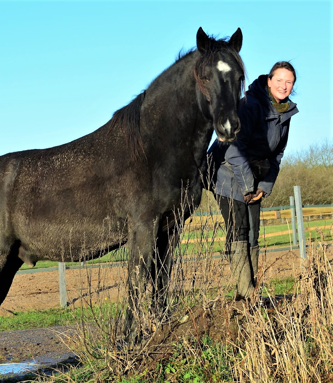 Manuela Heblich Der direkte Draht zum Pferd