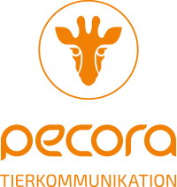Pecora Tierkommunikation Logo