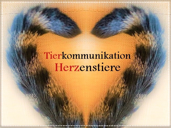 Logo www.tierkommunikation-herzenstiere.de